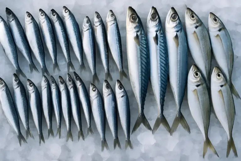 Pesce Azzurro: Elenco Completo dei Tipi, Proprietà e Caratteristiche